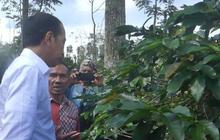 Jokowi Blusukan Lagi Bertemu Petani Kopi Temanggung: Kita Hanya Main, Enggak Ada Maksud Apa-Apa