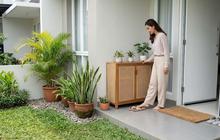 6 Solusi Mengurangi Debu yang Masuk ke Rumah dari Teras Depan, Panduan Lengkap & Praktis