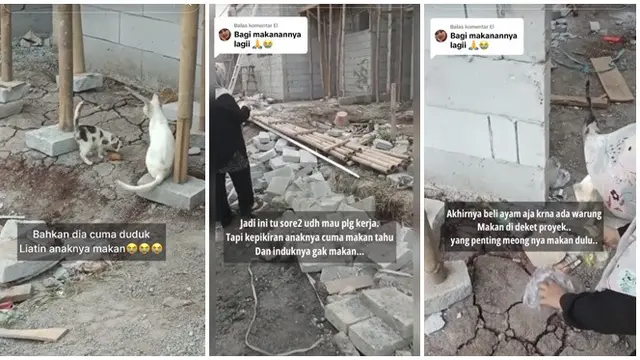 Viral Kucing Antar Makan untuk Anaknya Bikin Haru, Hewan Juga Punya Rasa Peduli