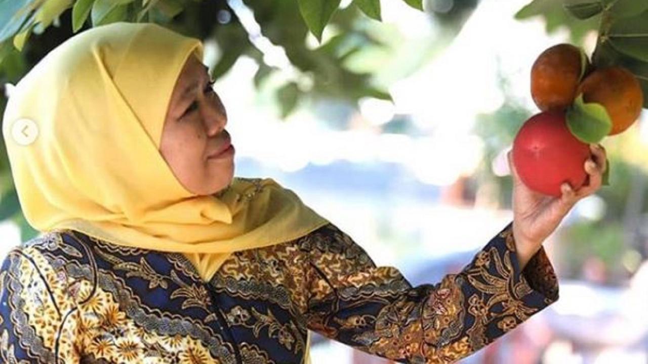 Khofifah Indar Parawansa