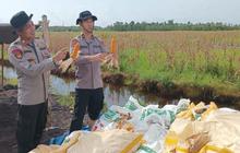 Polresta Banjarmasin Sukses Panen Jagung Pascabanjir Kuartal IV, Dukung Ketahanan Pangan Nasional