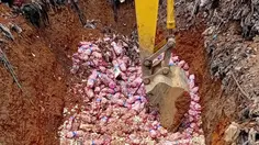 29 Ton Bawang Putih Asal China Berakhir di TPA Batam