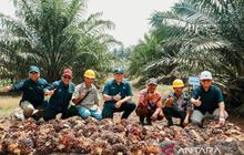Tahukah Anda? PTPN IV PalmCo Ajak Masyarakat Selamatkan Lingkungan Melalui Pembelian Kredit Karbon Mulai Rp150 Ribu