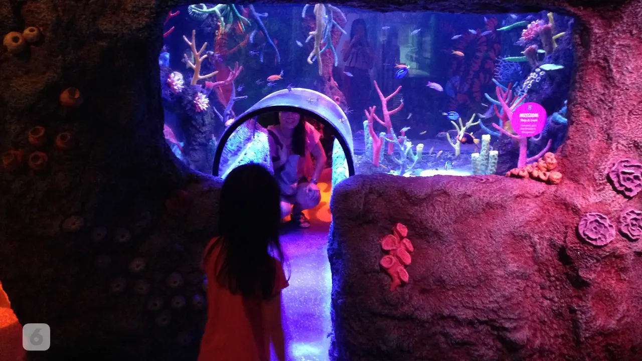 Sea Life Malaysia