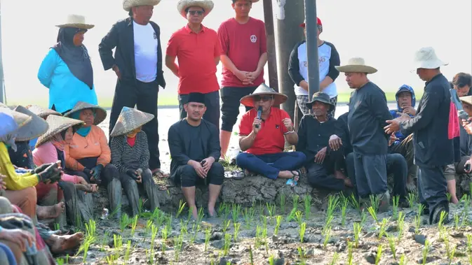 Lesehan di Sawah Bareng Petani, Hasto Bawa Pesan Megawati Jaga Lahan Subur agar Tak Jadi Kawasan Industri