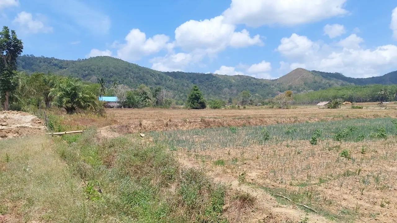 Lahan Sawah.
