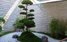15 Inspirasi Desain Taman Kering untuk Percantik Rumah Anda dengan Berbagai Tema