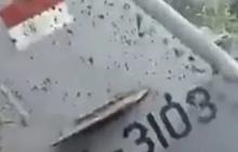 VIDEO: Detik-Detik Evakuasi 4 Perwira TNI AU  Gugur dalam Jatuhnya Pesawat Super Tucano