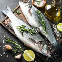 ilustrasi ikan/copyright Shutterstock