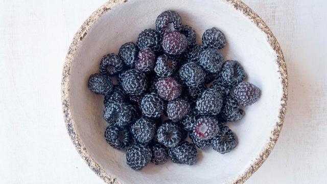 Gambar Ilustrasi Buah Blackberry