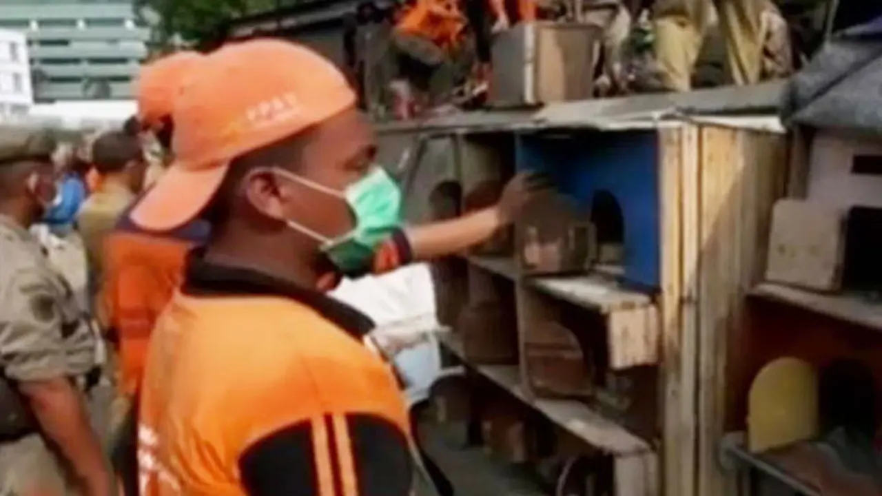 Kilas Indonesia: Tangkal Flu Burung, Pemukiman Jakarta Dirazia