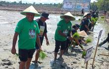 Pemkab Sarmi Realisasikan Cetak Sawah Baru 130 Hektare, Menuju Lumbung Pangan Papua