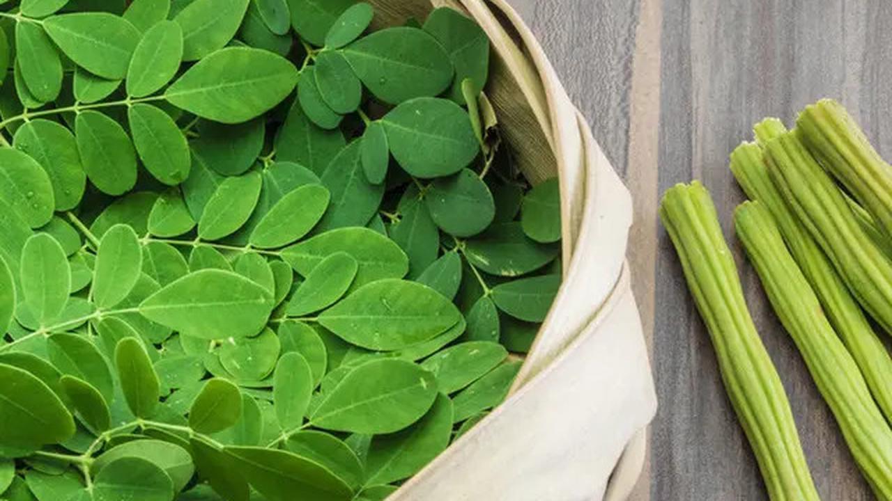 Daun Herbal untuk Menurunkan Gula Darah Secara Alami