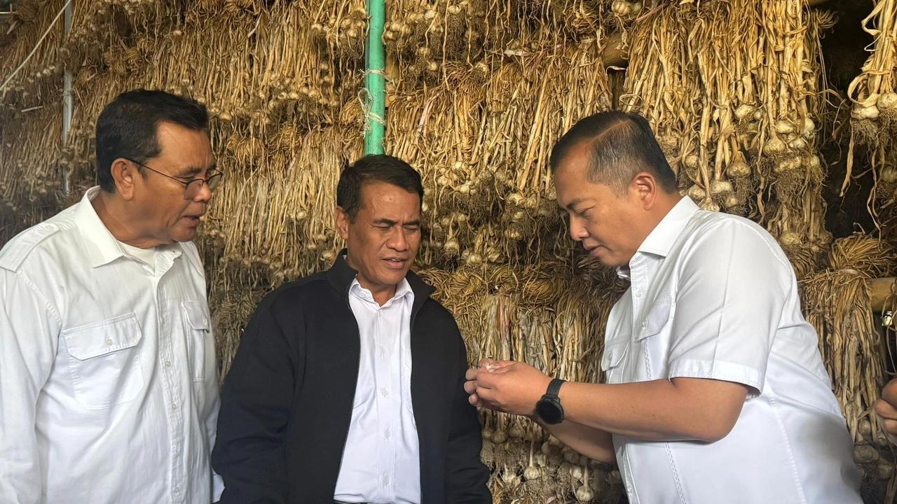 FOTO: NTB Diproyeksikan Jadi Pilar Jagung dan Bawang Putih Nasional