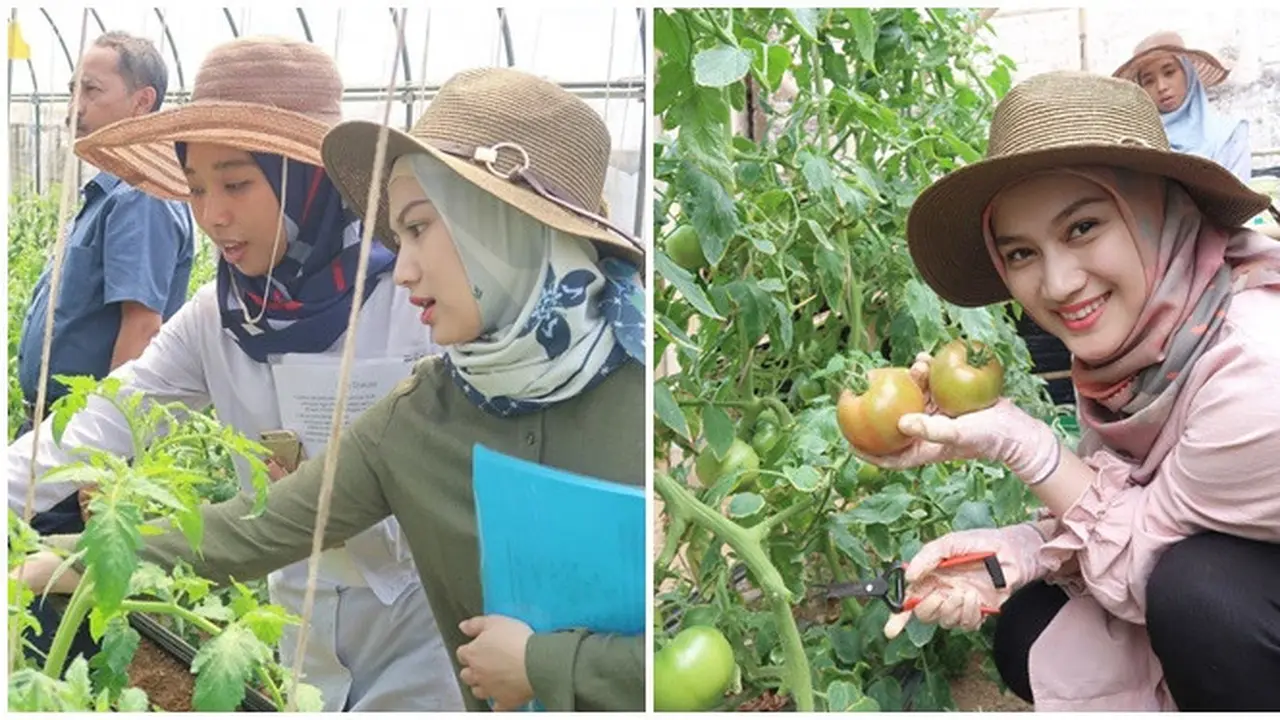 Cocok Jadi Duta Petani Milenial, Ini 6 Potret Melody Laksani Ikut Program Pertanian di 2019