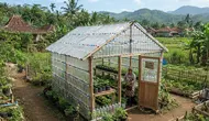 8 Cara Membuat Ventilasi Greenhouse Botol agar Tidak Berjamur, Tanaman Sehat Anti Lembap