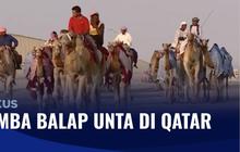 VIDEO: Serunya Nonton Balap Unta Sembari Tunggu Final Piala Dunia 2022 di Qatar