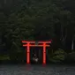 Torii (gerbang merah) dari kuil Hakone-Jinja terlihat di Danau Ashi di prefektur Kanagawa, Jepang (11/9/2019). Nama Danau Ashi atau yang dikenal juga dengan Danau Ashinoko ini dalam bahasa Jepang memiliki arti lautan alang-alang. (AFP Photo/Charly Triballeau)