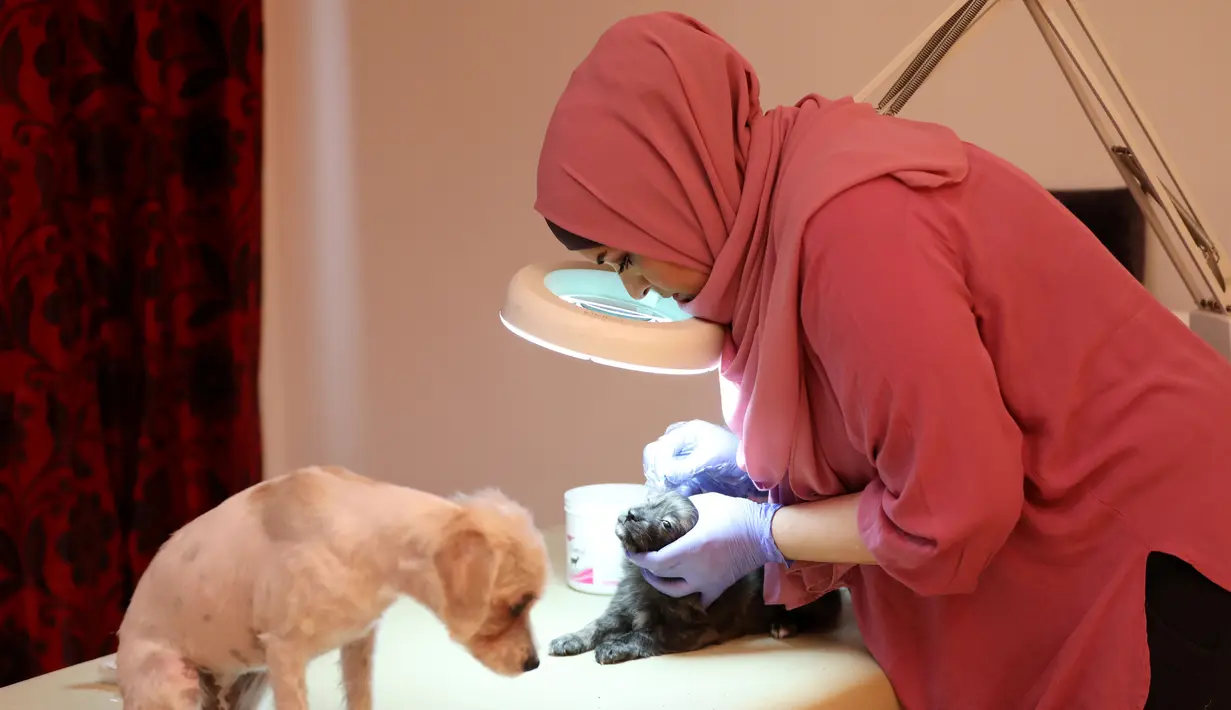 Wanita Palestina, Maha Mansoura (52) merawat anjing dalam rumahnya di Kota Ramallah, Tepi Barat, 7 Oktober 2020. Hewan telantar di Ramallah dapat menikmati tempat berlindung yang aman setelah Maha Mansoura mengubah rumahnya menjadi tempat penampungan. (Xinhua/Ayman Nobani)