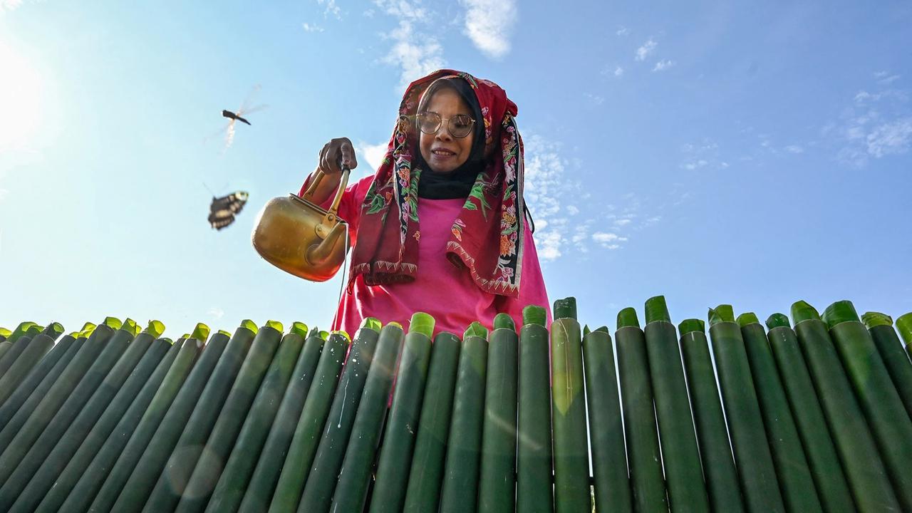 FOTO: Ribuan Warga Abdya Pecahkan Rekor Memasak Lemang Terbanyak