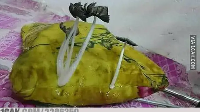 6 Bantal Guling dengan Motif Tidak Biasa Ini Nyeleneh, Bikin Tepuk Jidat