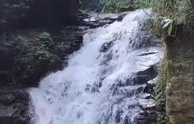 Menikmati Keindahan Curug Muara Jaya yang Estetik di Majalengka, Lokasinya Syahdu di Tengah Hutan