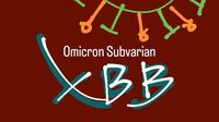 Ilustrasi COVID-19 Omicron varian XBB