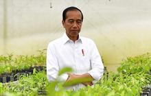 Jokowi Sebut Persemaian Mentawir Bisa Hidupkan Satwa Langka di Kalimantan