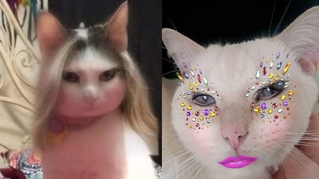 6 Potret Kucing Betina Pakai Filter HP Biar Cantik, Tampak Lucu
