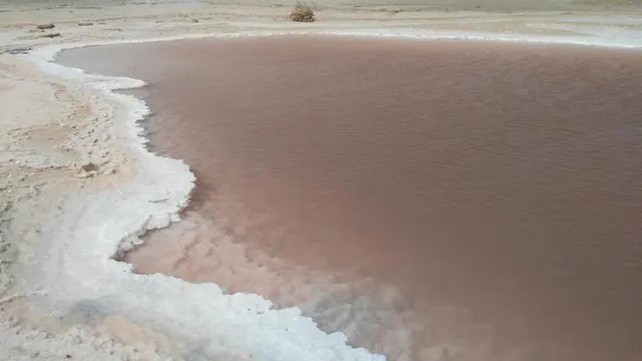 6 Danau yang Masih Ada di Gurun Sahara, Jadi Keajaiban Alam Tak Terduga