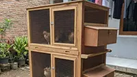 10 Ide Kandang Ayam Portable, Cocok untuk Kontrakan