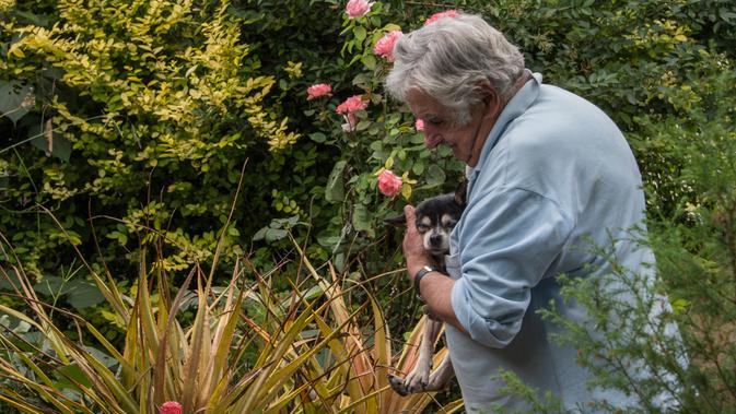 Jose Mujica bermain bersama anjing peliharaannya yang berusia 19 tahun, Manuela saat syuting film dokumenter di kediamannya di Montevideo, Uruguay, pada 12 Desember 2016. (AFP Photo/Pablo Porciuncula)