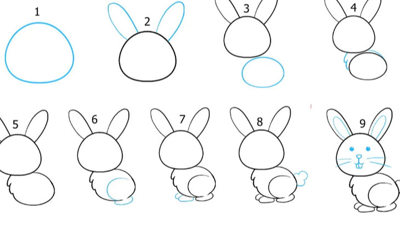 4 Cara Menggambar Hewan dengan Sederhana dan Mudah, Tingkatkan Kreativitas Anak