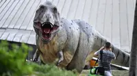 Ponsel Jatuh Berujung Maut, Pria di Spanyol Tewas Terperangkap di Patung Dinosaurus