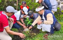 Pemkab Bangli Gencarkan Penanaman Pohon untuk Mitigasi Bencana, Lindungi Warga dari Longsor