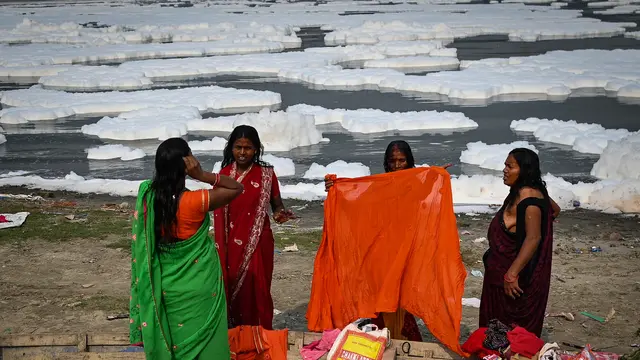 Busa Beracun Menutupi Sungai Yamuna di India