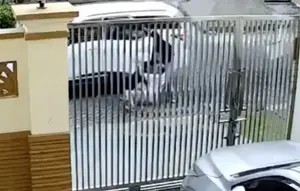 Tangkapan layar CCTV saat korban melawan dua orang yang hendak membawanya ke dalam mobil. (Liputan6.com/ Dok Ist)