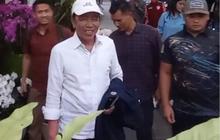 Kondisi Terbaru Jokowi Usai Liburan di Bali Selama 2 Pekan, Bertopi Putih & Tangan Kemeja Putih Digulung