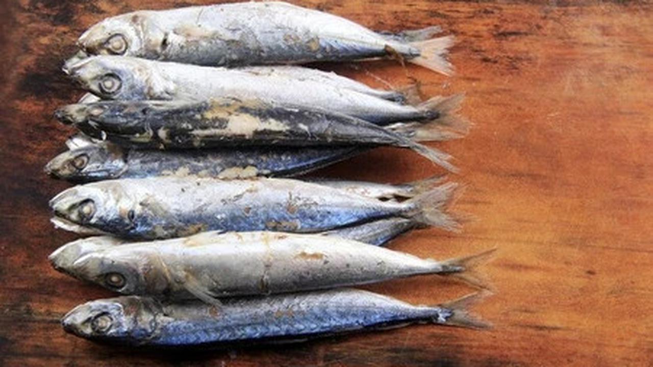 Cara Membuat Ikan Pindang Lembut dan Gurih di Rumah, Cuma Pakai Bahan Sederhana Ini