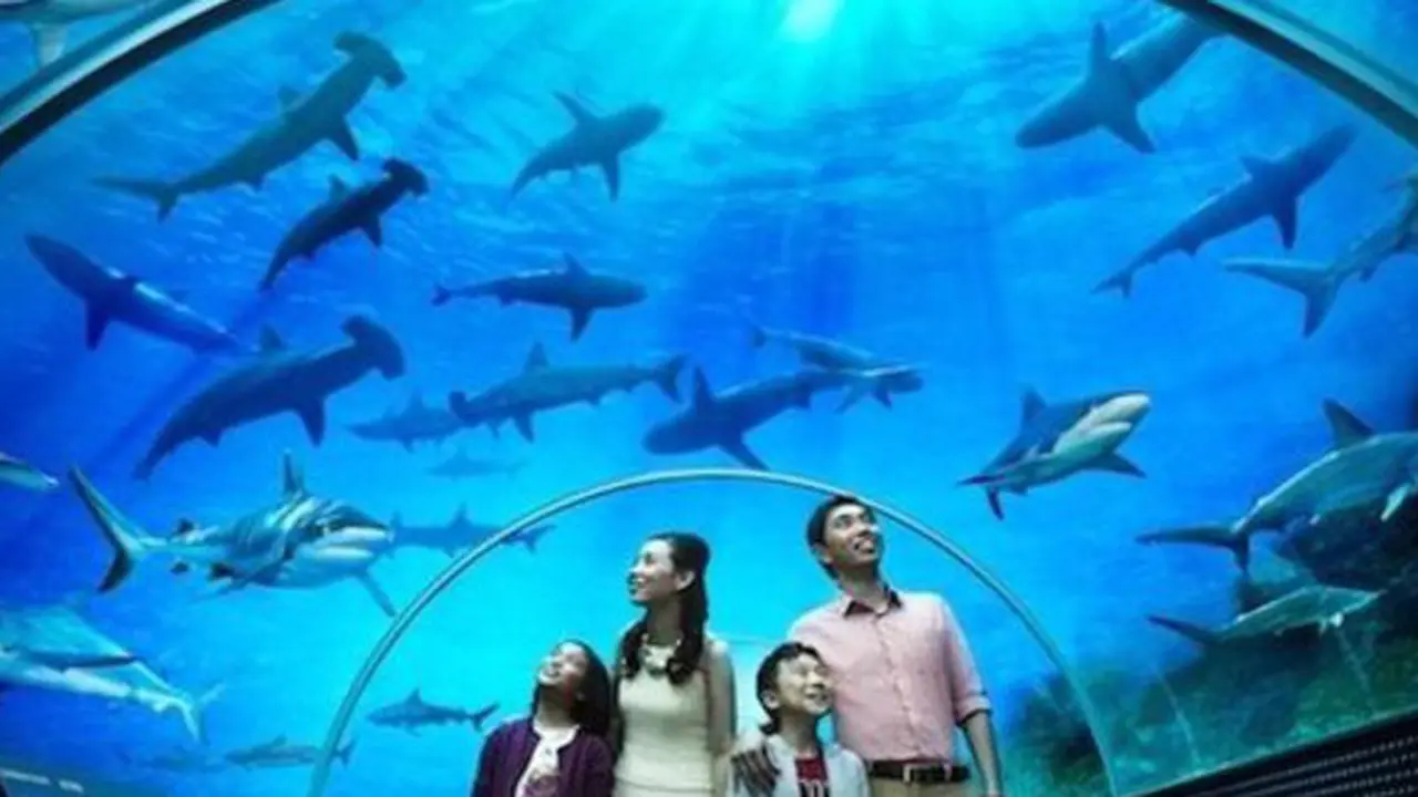 (c) yoursingapore.com