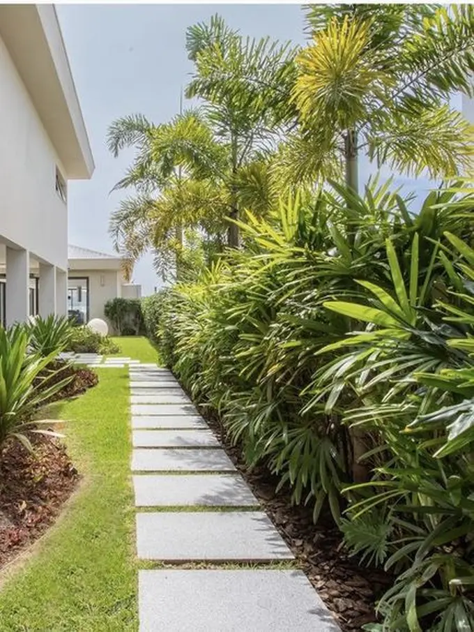 Taman Rindang Samping Rumah