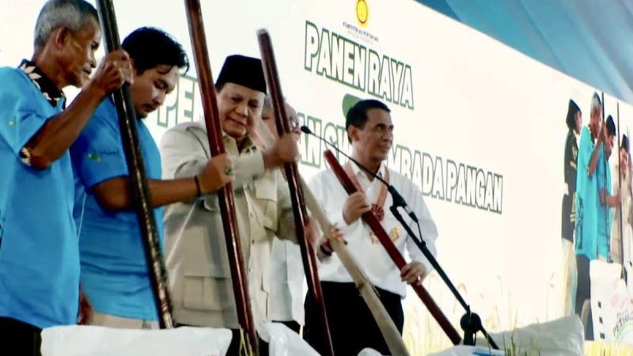 Indonesia Capai Swasembada Beras 2025: Tonggak Penting Ketahanan Pangan Nasional
