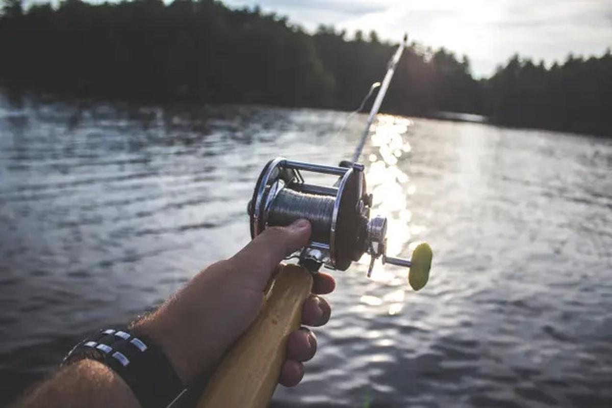 Strike Gak Putus? Ini Rahasia Setting Drag Reel yang Sering Diabaikan