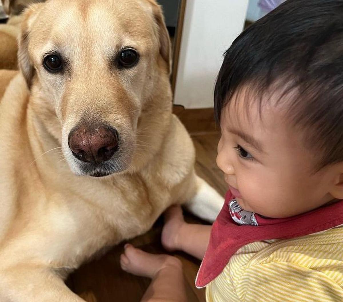 Potret Baby Timo bersama salah satu hewan peliharaannya. Chef Arnold mengabadikan foto tersebut. Ekspresi Baby Timo cute banget.