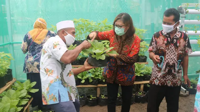Pemberdayaan Ekonomi Kreatif Urban Farming untuk Warga Jawa Tengah oleh PT PII