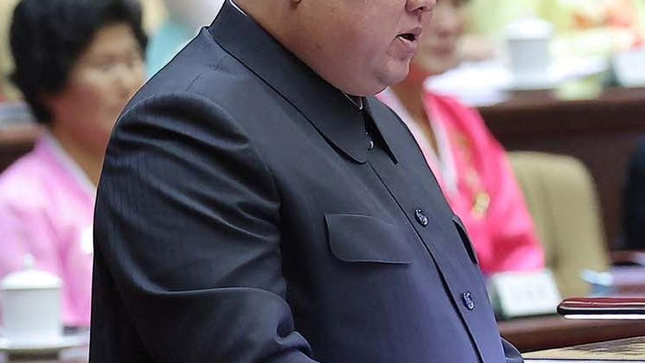 Para ahli meyakini banyak keluarga baru di Korea Utara tidak memiliki lebih dari satu anak karena "mereka memerlukan banyak uang untuk membesarkan anak-anak mereka."<br>