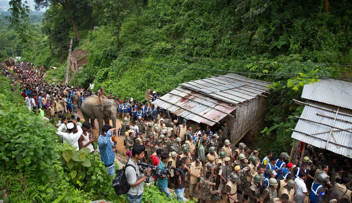Seekor gajah bersama pasukan tentara India bersiap melakukan penggusuran di Suaka Margasatwa Amchang di pinggiran Gauhati, India (25/8). (AP Photo/Anupam Nath)