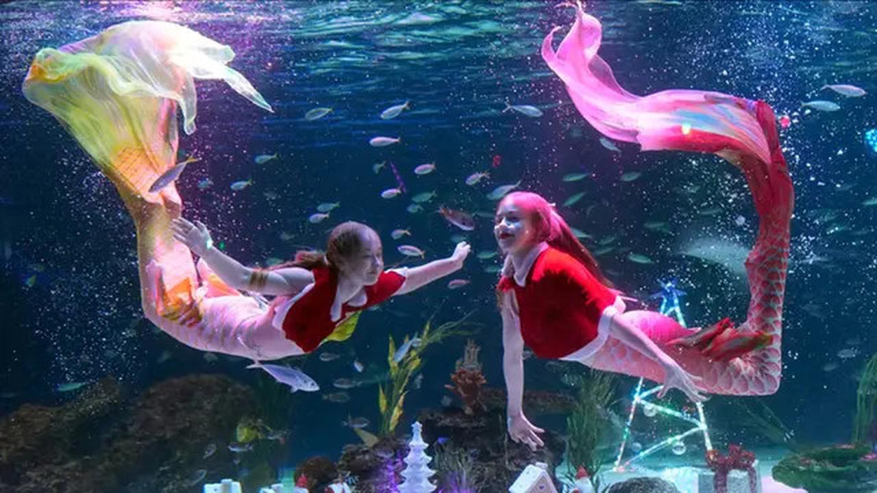 Misteri Tentang Keberadaan Putri Duyung Akhirnya Terungkap, Faktanya Mengejutkan