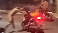 Seorang pria dalam kondisi mabuk dan tanpa mengenakan pakaian mengamuk di Jalan Lenteng Agung, Jagakarsa, Jakarta Selatan. (Foto: Tangkapan Layar Sosmed)