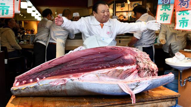 Ikan Tuna Raksasa Seharga Rp25 Miliar, Pengusaha Jepang Fantastis